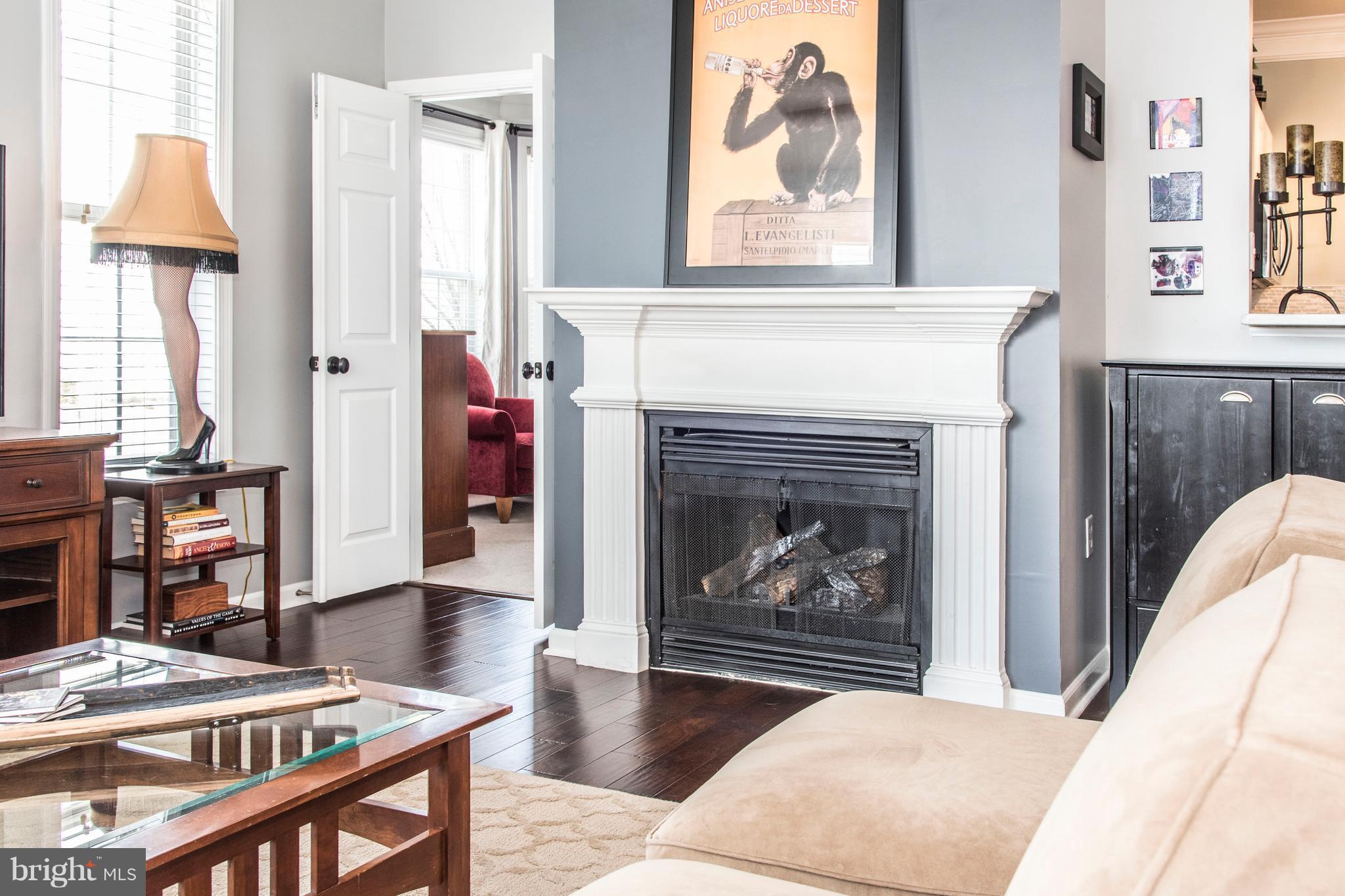 504 Sunset View Terrace Southeast, Unit 206 Leesburg, VA 20175 - Photo 6 of 18 a living room with furniture and a fireplace