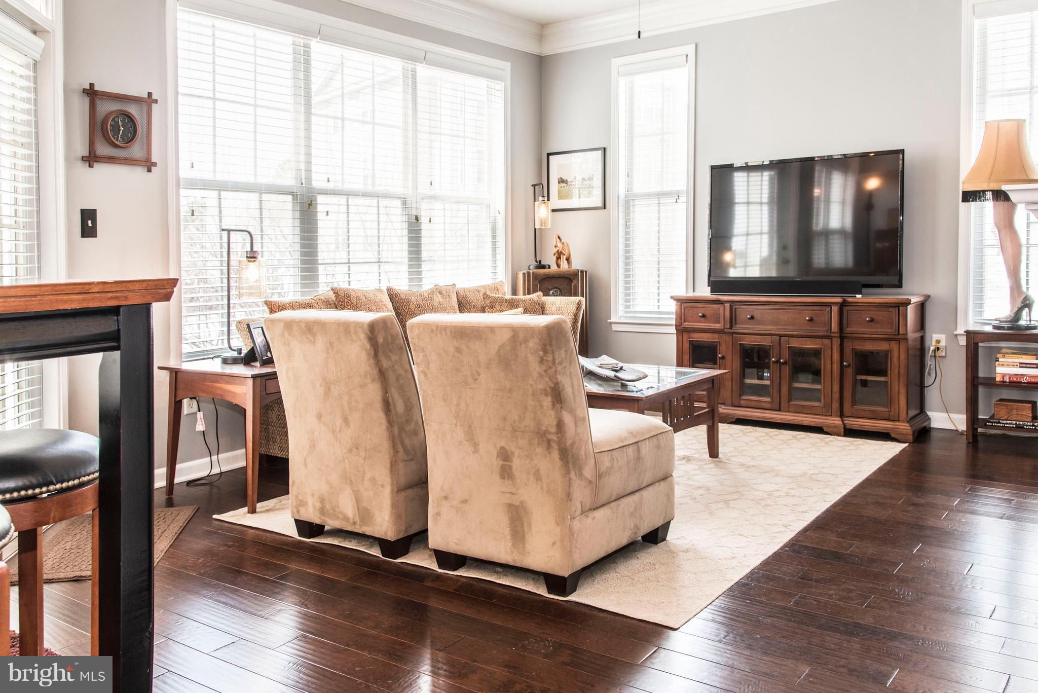 504 Sunset View Terrace Southeast, Unit 206 Leesburg, VA 20175 - Photo 9 of 18 a living room with furniture and a flat screen tv