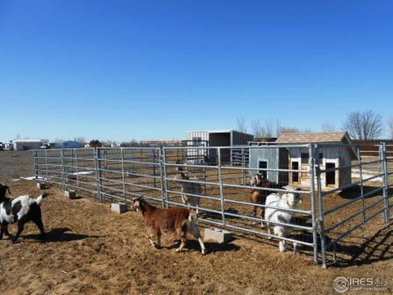 18516 Centennial Road Fort Morgan, CO 80701 - Photo 23 of 25 Corral & Outbuildings