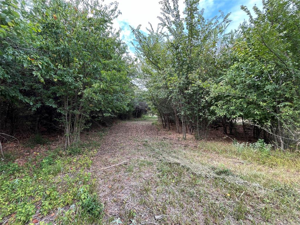 404 East Maple Street Ravenna, TX 75476 - Photo 18 of 25 Gallery Image 18