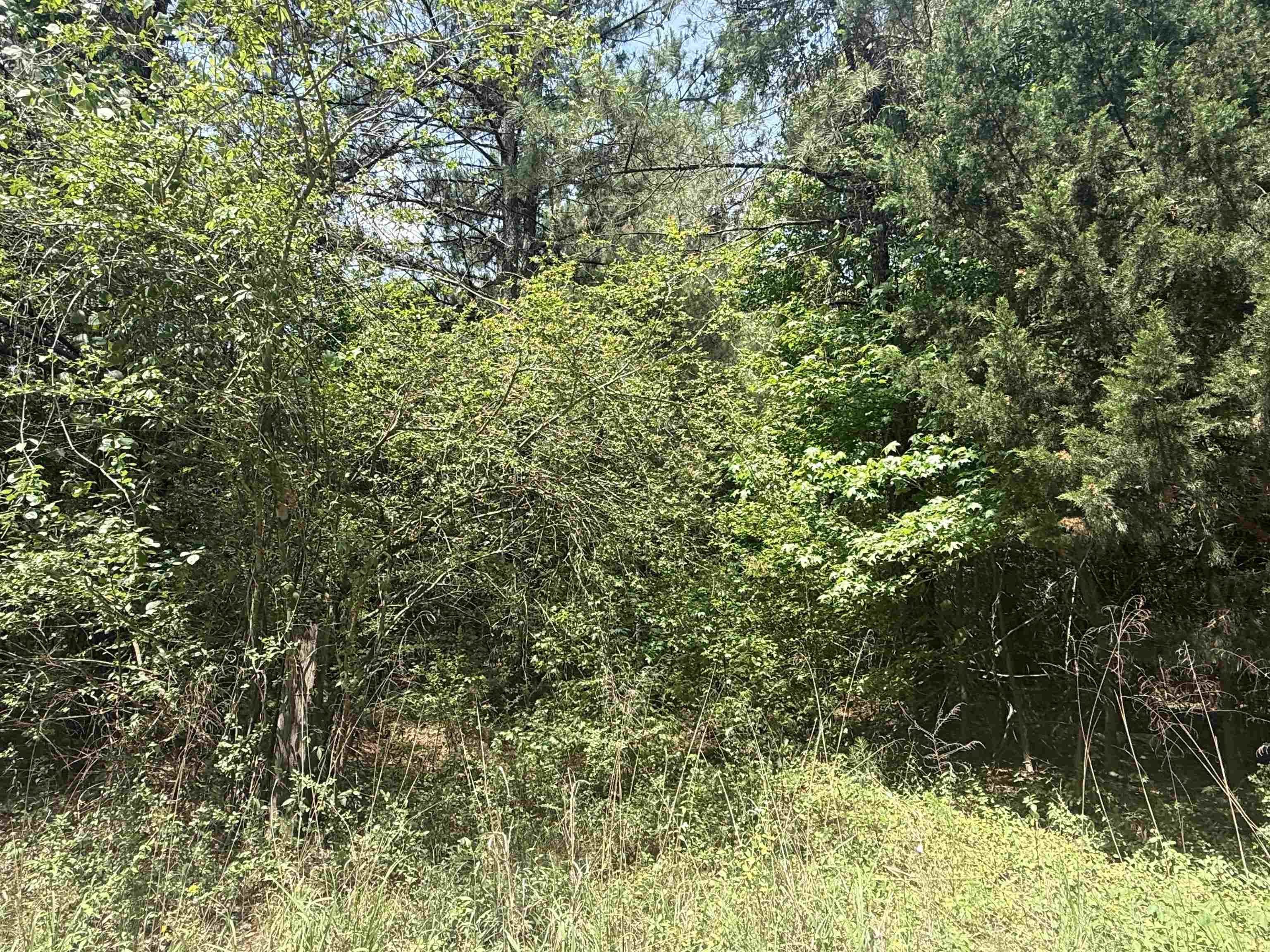 Lot 1 Brantly Road Andrews, SC 29510 - Photo 3 of 5