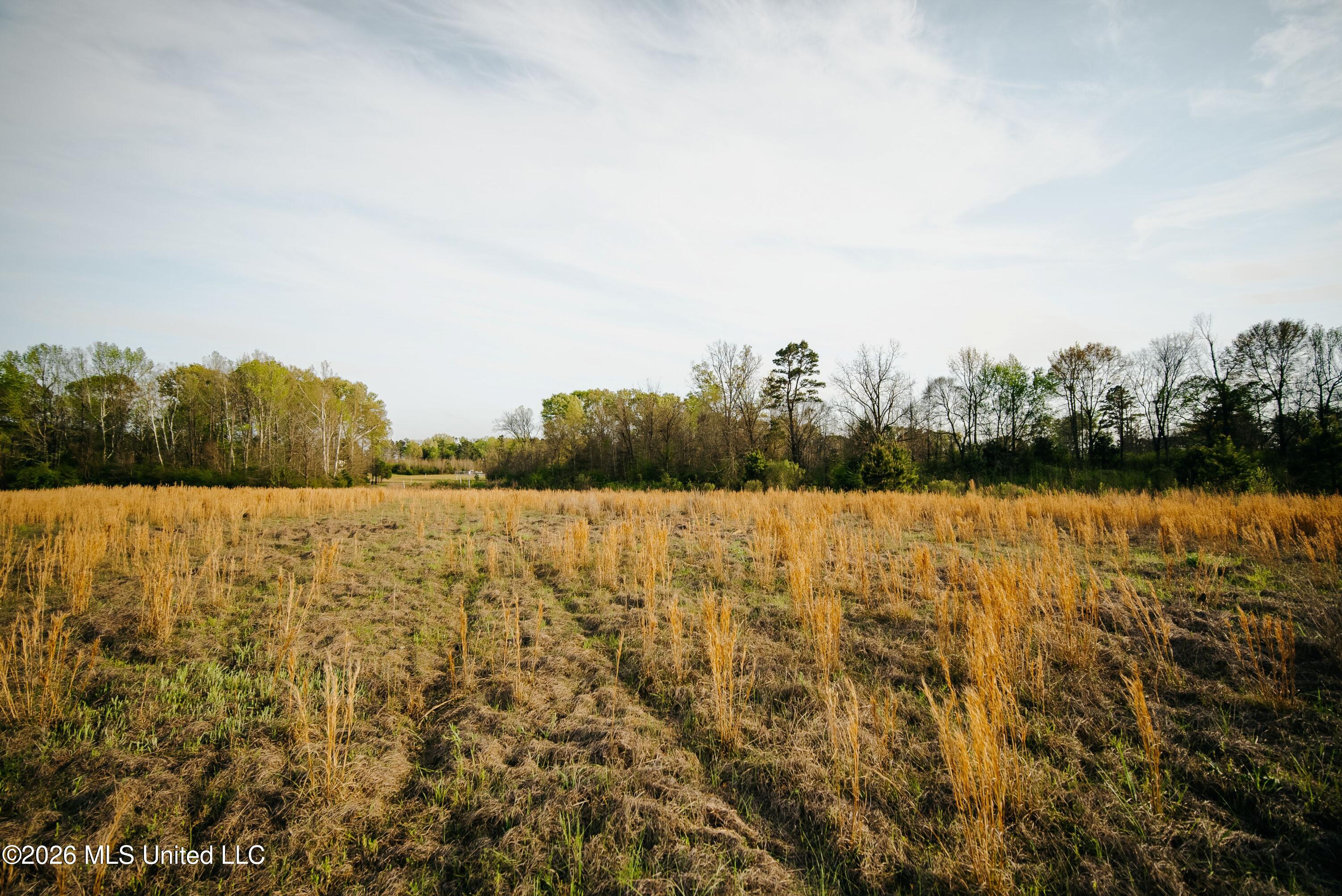 1844 Volley Campbell Road Terry, MS 39170 - Photo 26 of 81 DSC08609
