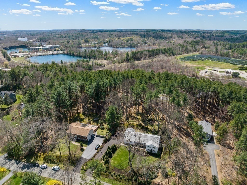 25 Forest Ridge Road Weston, MA 02493 - Photo 26 of 26