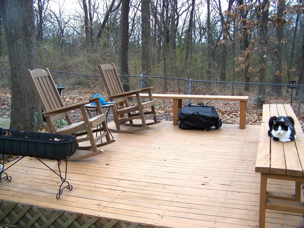 95 J Street Pottsboro, TX 75076 - Photo 2 of 28