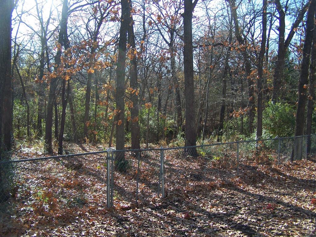 95 J Street Pottsboro, TX 75076 - Photo 3 of 28