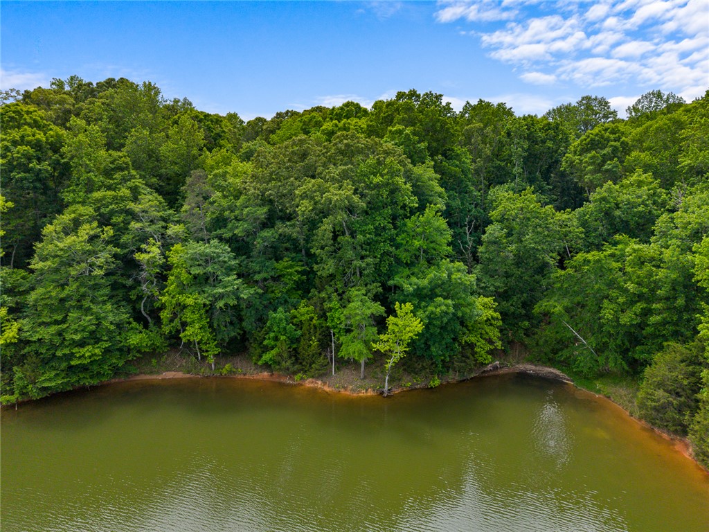141 Lone Eagle Way Iva, SC 29655 - Photo 6 of 45