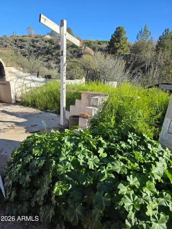 a view of a garden with a building in the background