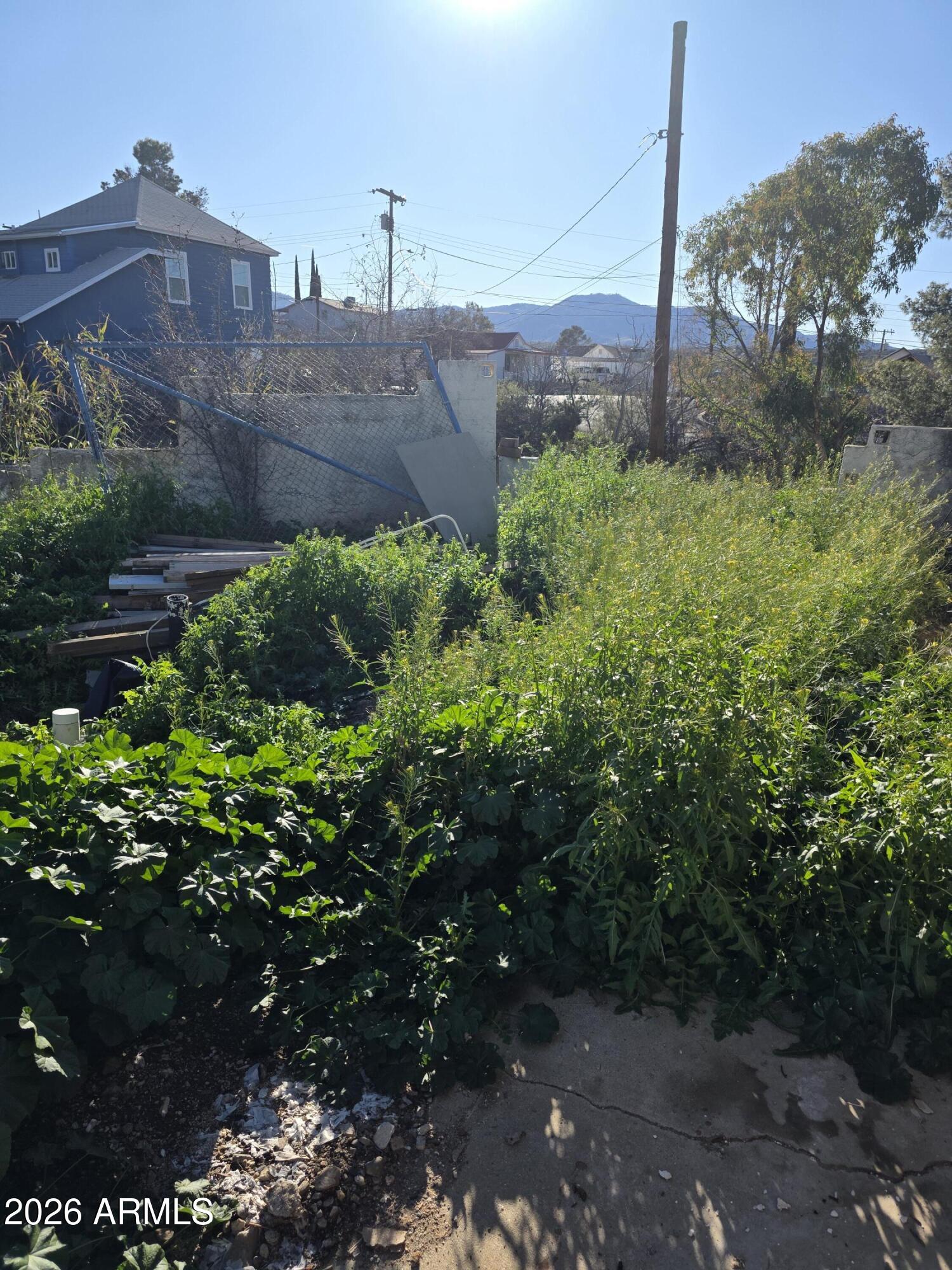 523 Copper Hills Road Globe, AZ 85501 - Photo 9 of 9 a view of a garden with a building in the background