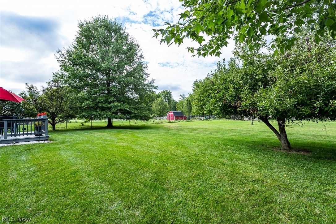13092 Whitney Road Strongsville, OH 44136 - Photo 31 of 31 Gallery Image 31