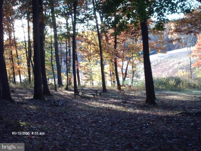 2554 Albert Rill Road Westminster, MD 21157 - Photo 22 of 30 View from Unit