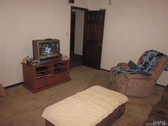7619 Jacks Run Road Freeburg, IL 62243 - Photo 22 of 24 Gallery Image 22