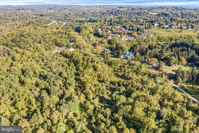 a view of a city with lush green forest