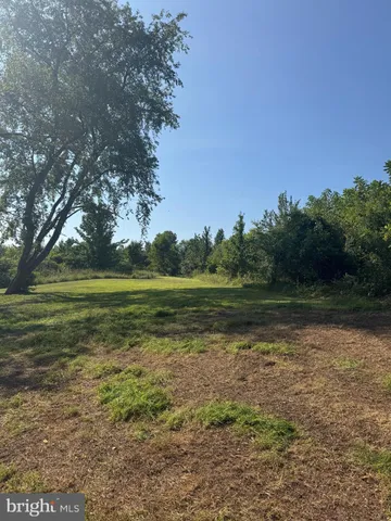 a view of a lake with a yard and trees