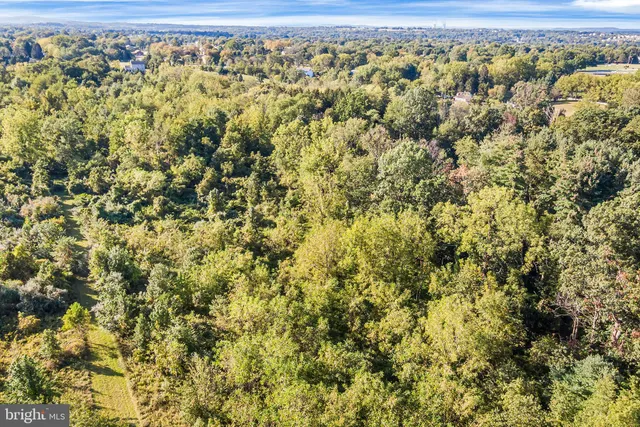 an aerial view of a yard
