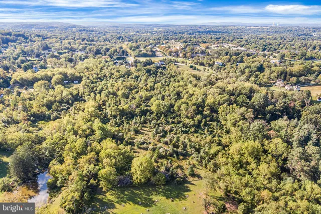 a view of a city with lush green forest
