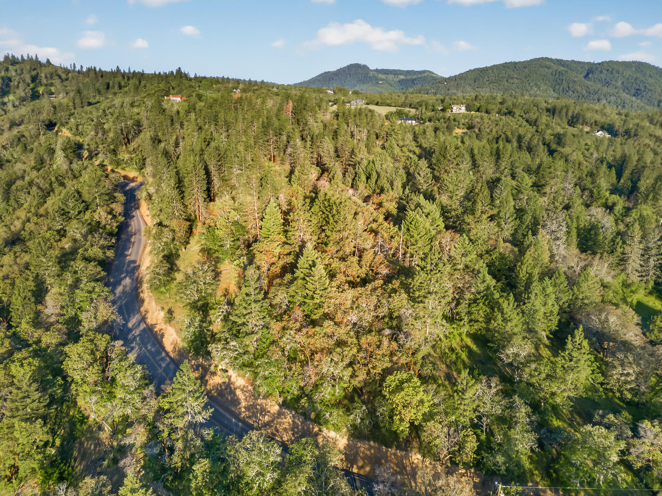0 Applegate Street Jacksonville, OR 97530 - Photo 11 of 25 DJI_20260506070003_0046_D