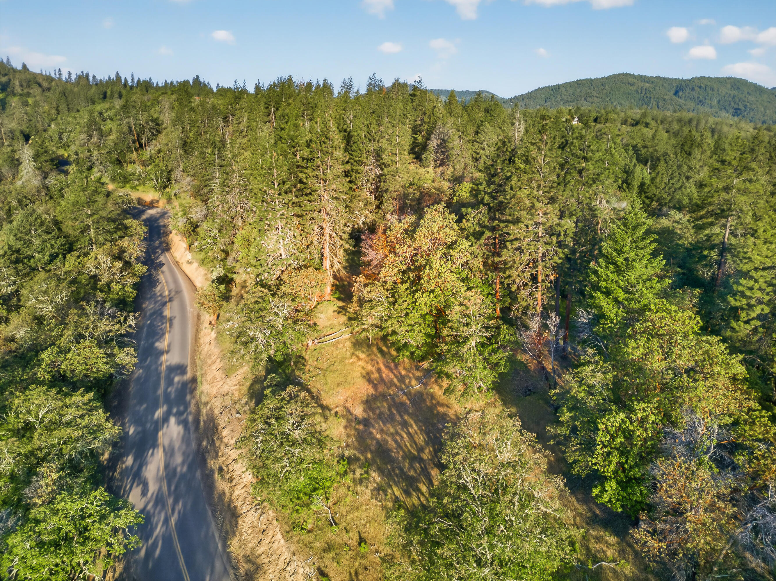0 Applegate Street Jacksonville, OR 97530 - Photo 12 of 25 DJI_20260506070016_0051_D