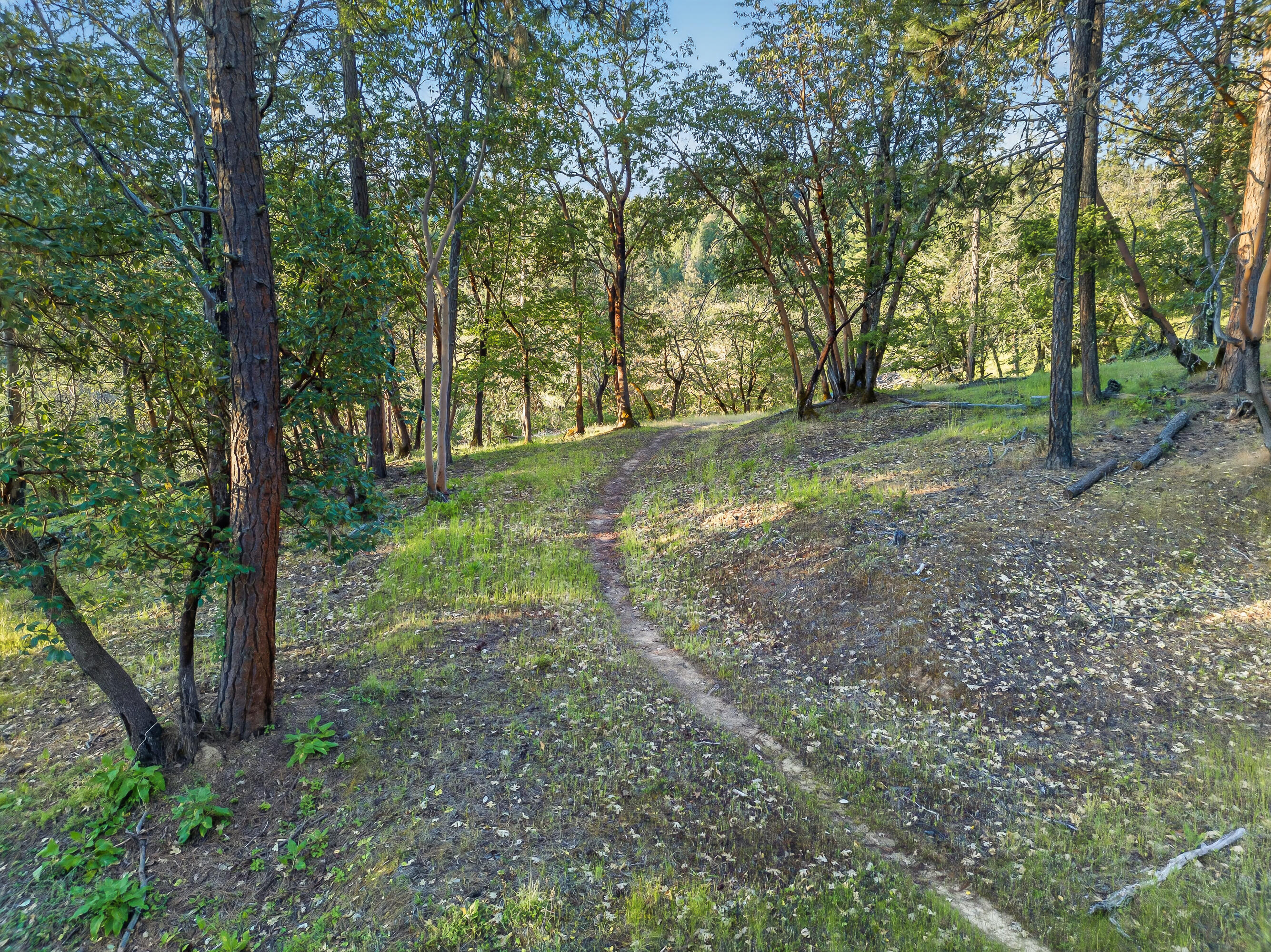 0 Applegate Street Jacksonville, OR 97530 - Photo 14 of 25 DJI_20260506070109_0061_D