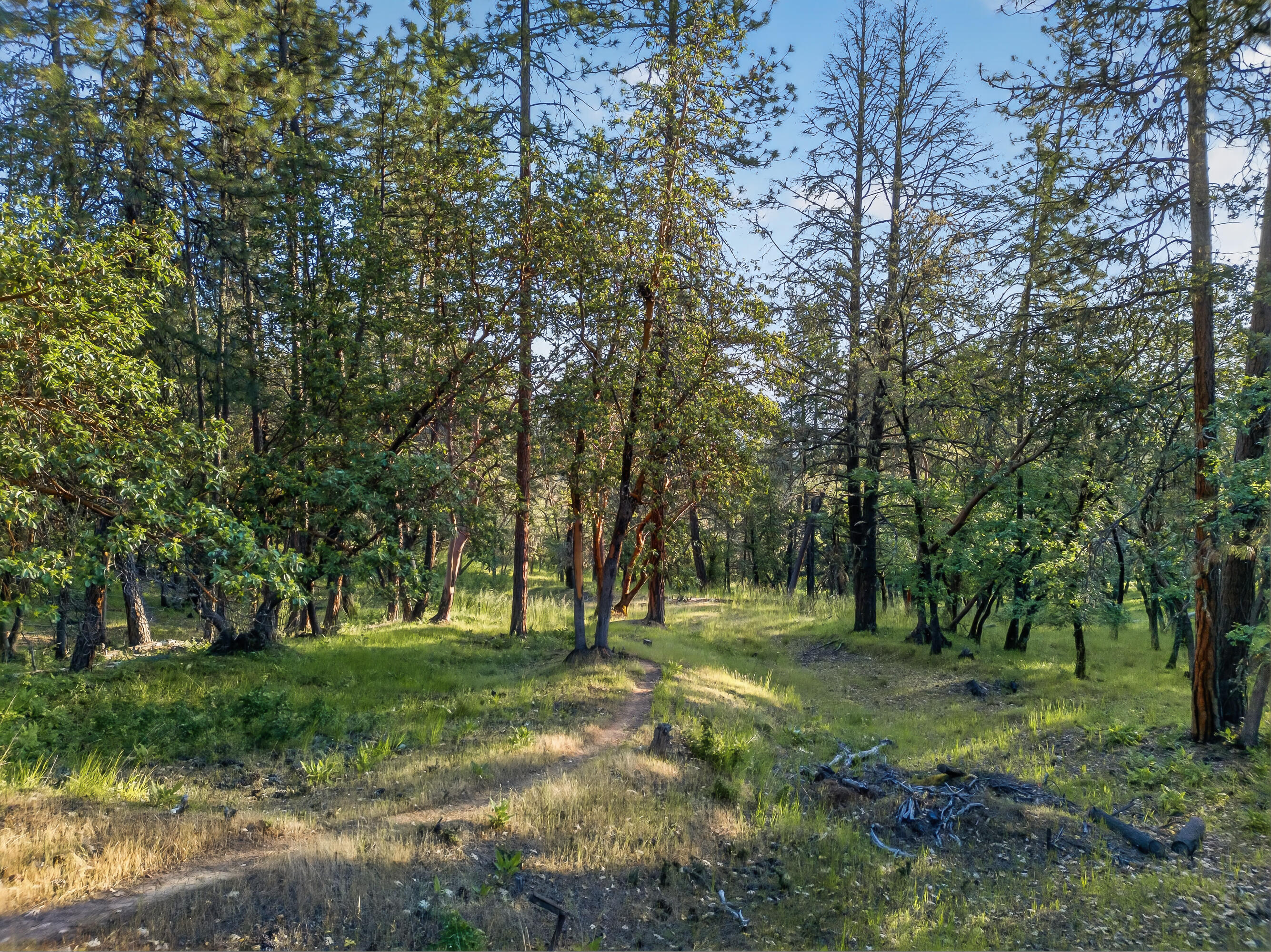 0 Applegate Street Jacksonville, OR 97530 - Photo 16 of 25 DJI_20260506070132_0073_D