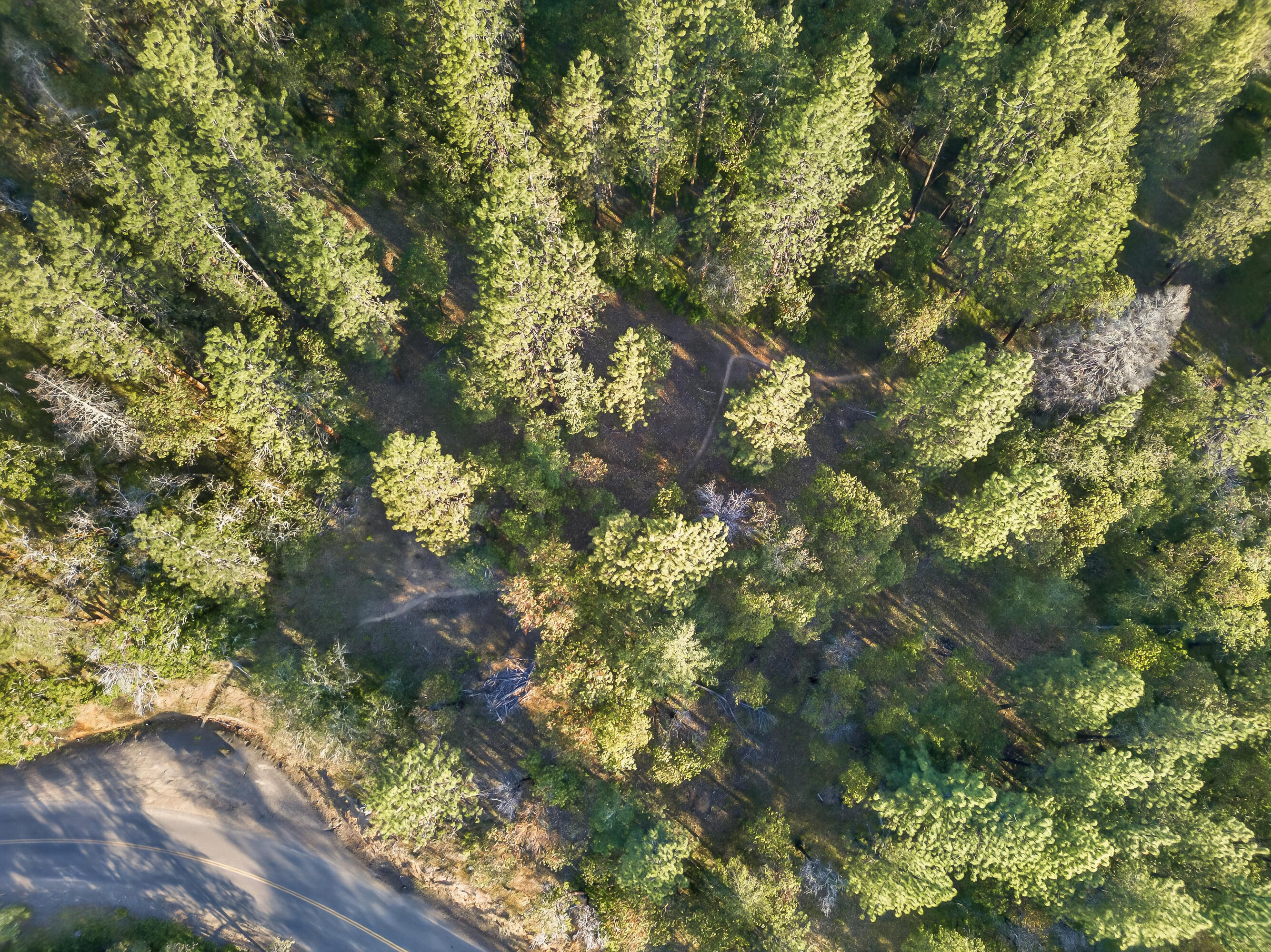 0 Applegate Street Jacksonville, OR 97530 - Photo 19 of 25 DJI_20260506070247_0086_D