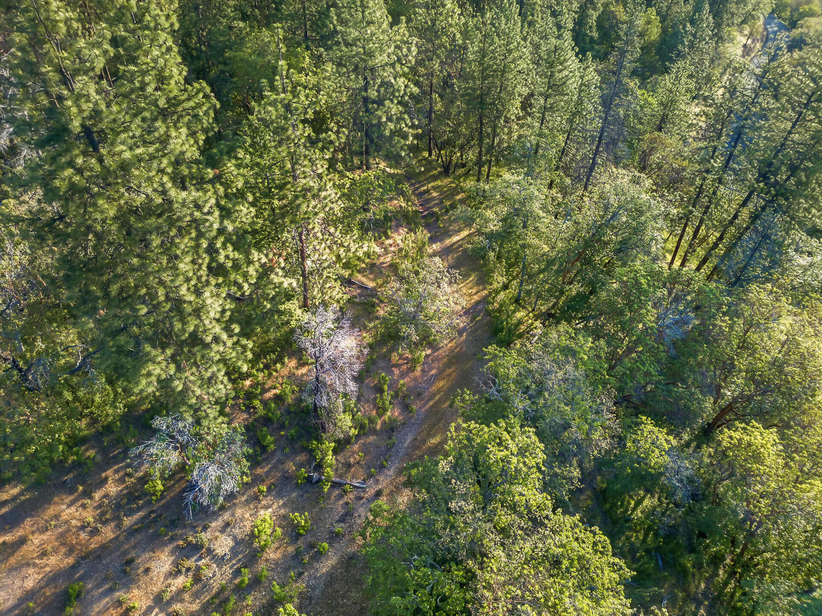 0 Applegate Street Jacksonville, OR 97530 - Photo 20 of 25 DJI_20260506070314_0091_D