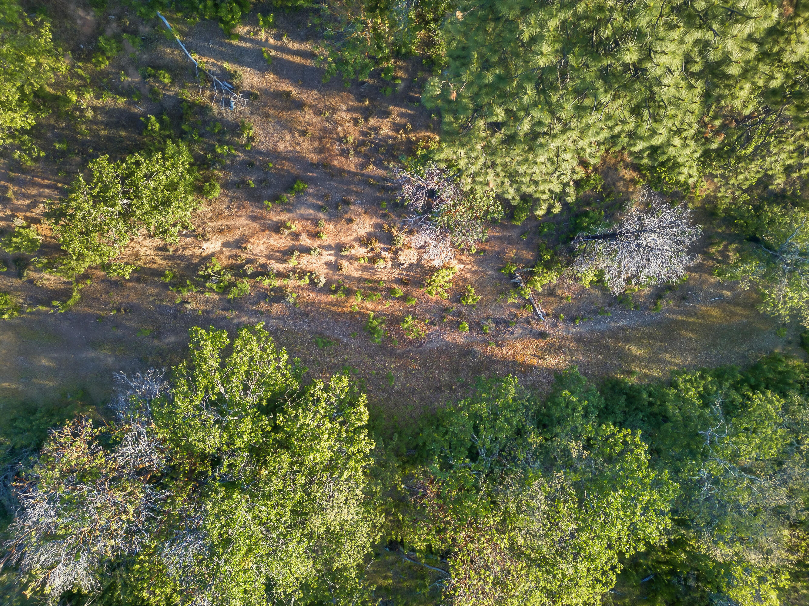 0 Applegate Street Jacksonville, OR 97530 - Photo 21 of 25 DJI_20260506070326_0096_D
