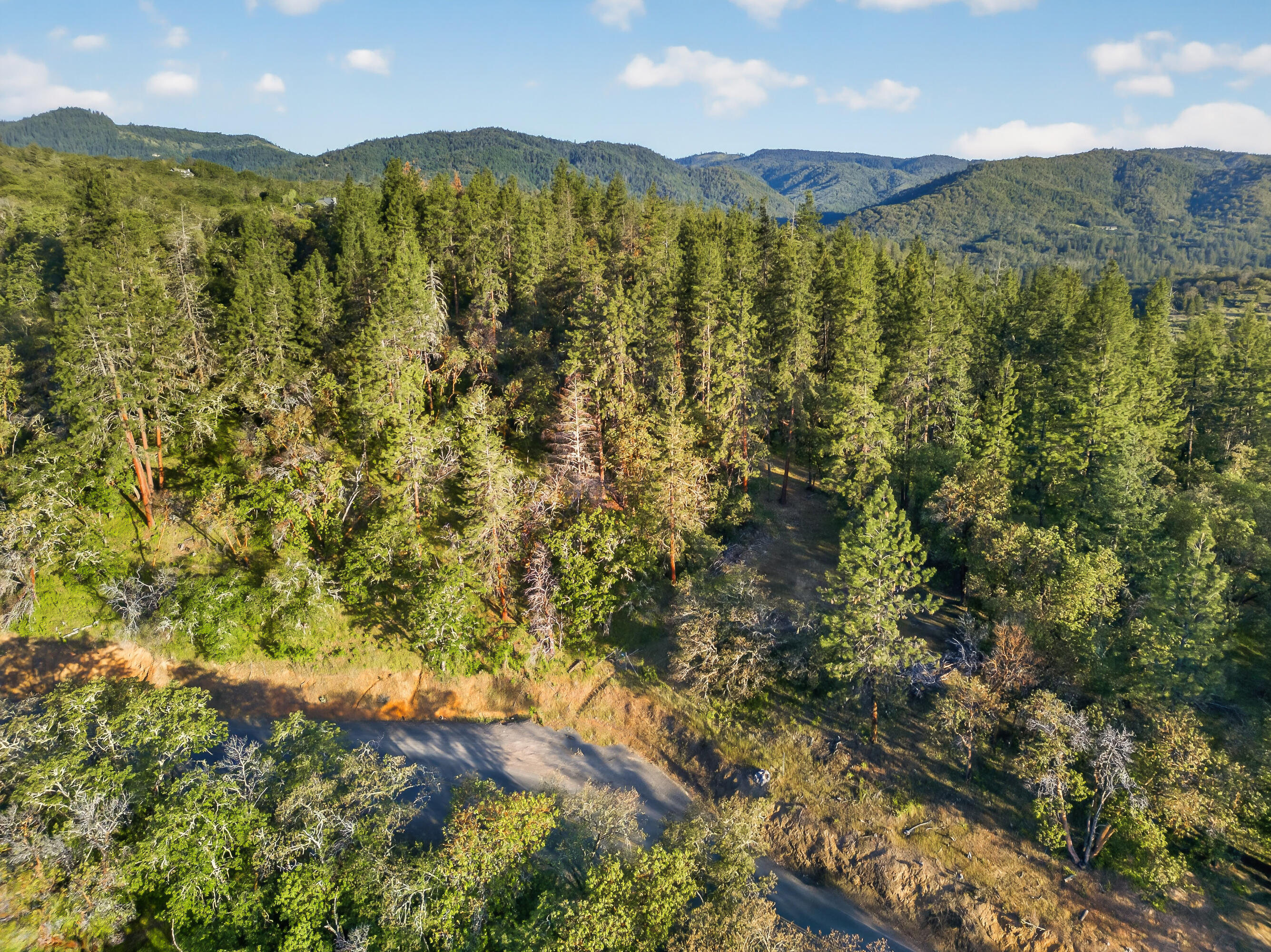 0 Applegate Street Jacksonville, OR 97530 - Photo 24 of 25 DJI_20260506070444_0111_D