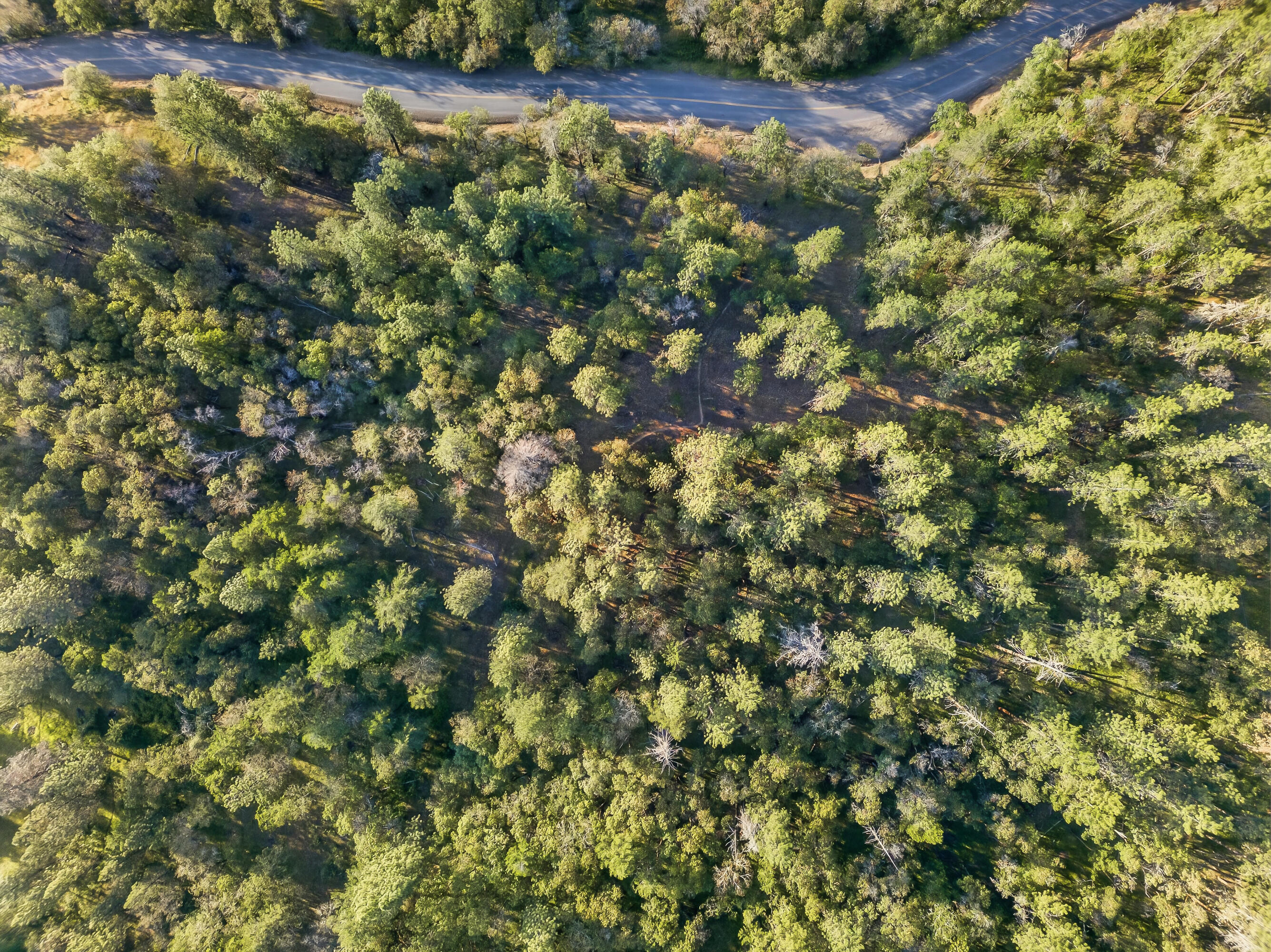 0 Applegate Street Jacksonville, OR 97530 - Photo 25 of 25 DJI_20260506070520_0119_D
