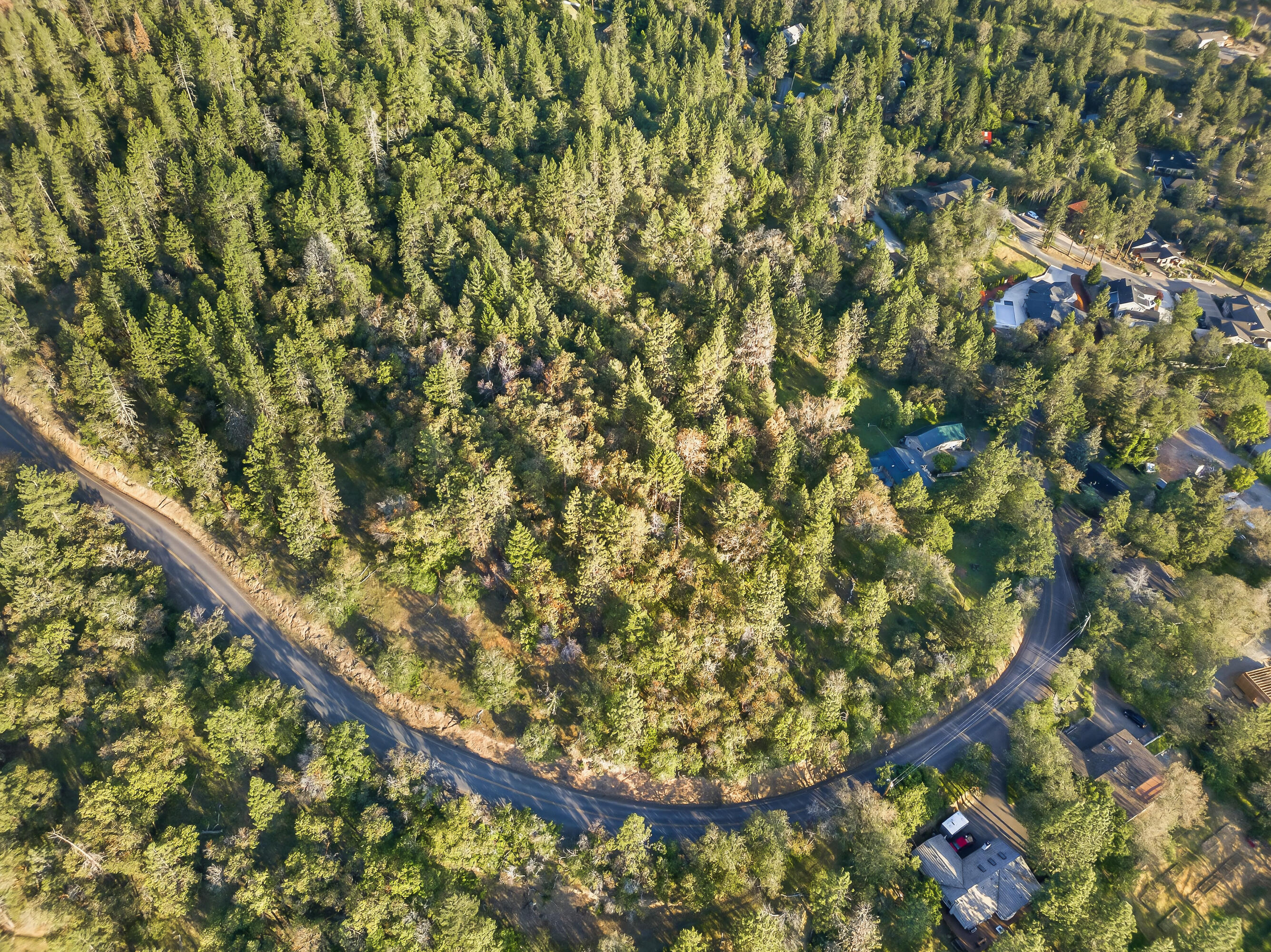 0 Applegate Street Jacksonville, OR 97530 - Photo 6 of 25 DJI_20260506065805_0021_D