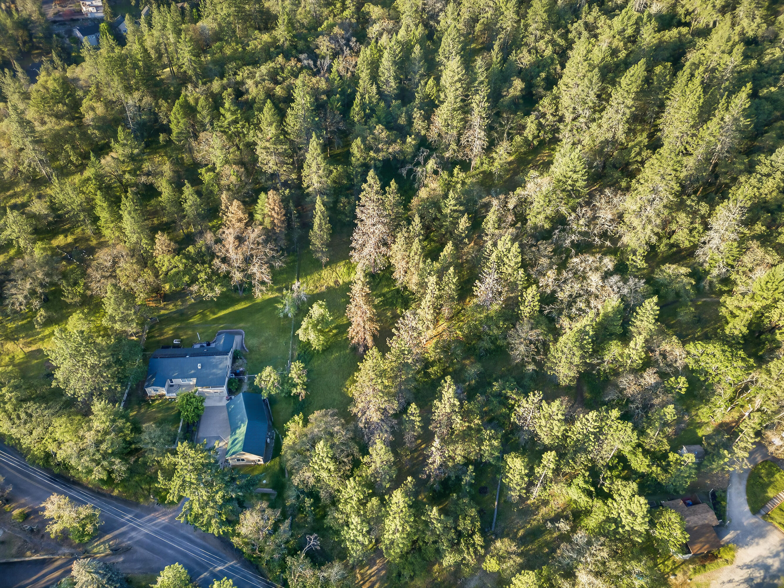 0 Applegate Street Jacksonville, OR 97530 - Photo 8 of 25 DJI_20260506065908_0031_D