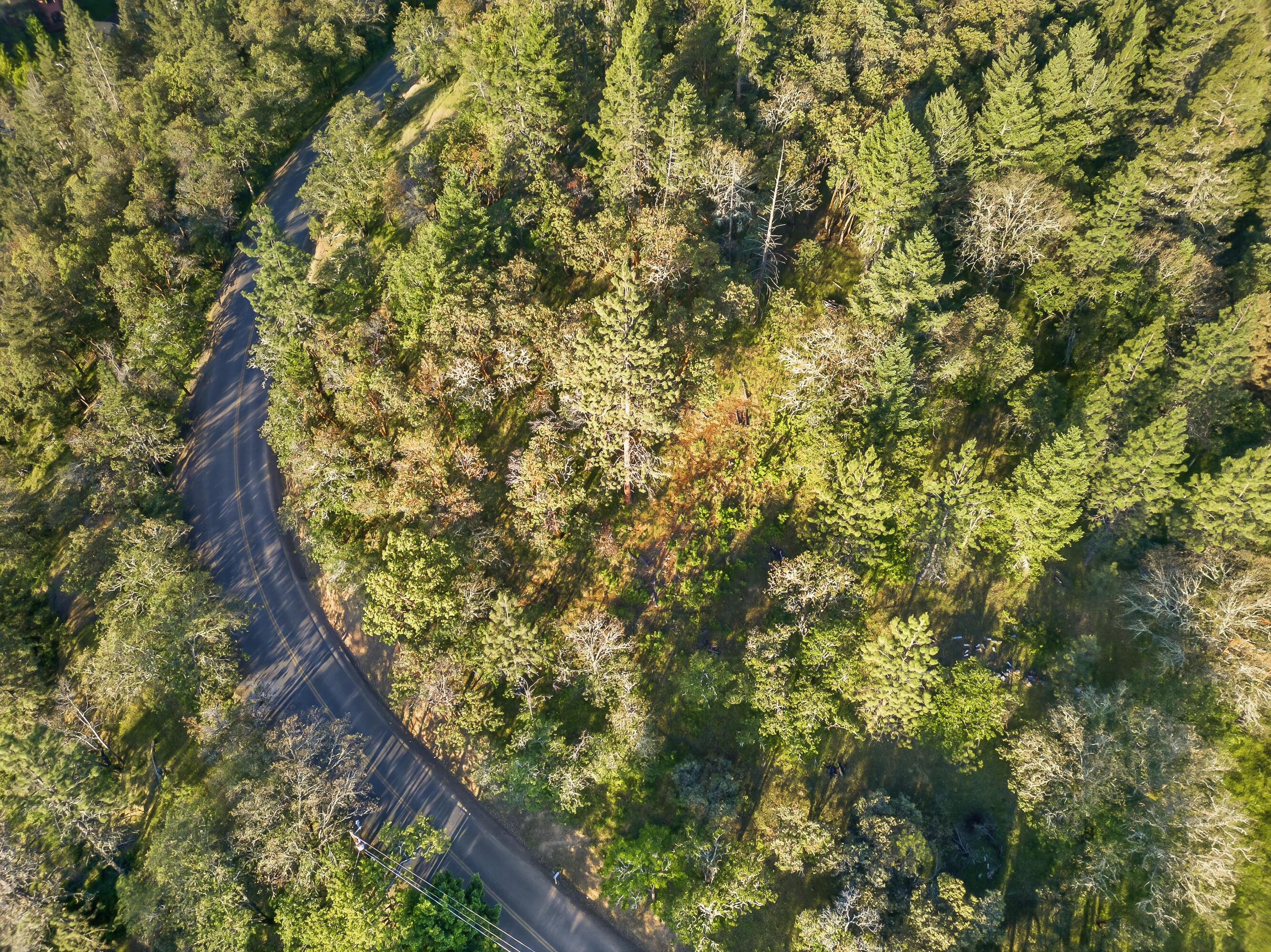 0 Applegate Street Jacksonville, OR 97530 - Photo 10 of 25 DJI_20260506065951_0043_D