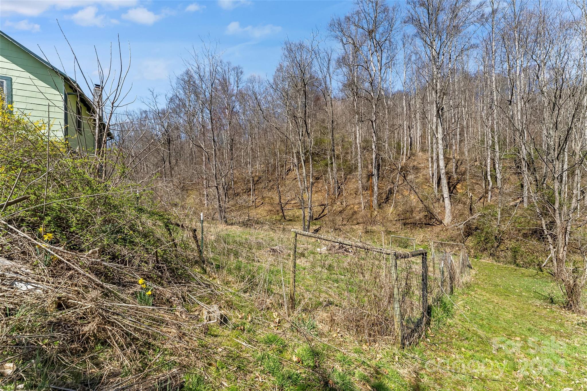830 Fred Holcombe Road Mars Hill, NC 28754 - Photo 22 of 40 Gallery Image 22