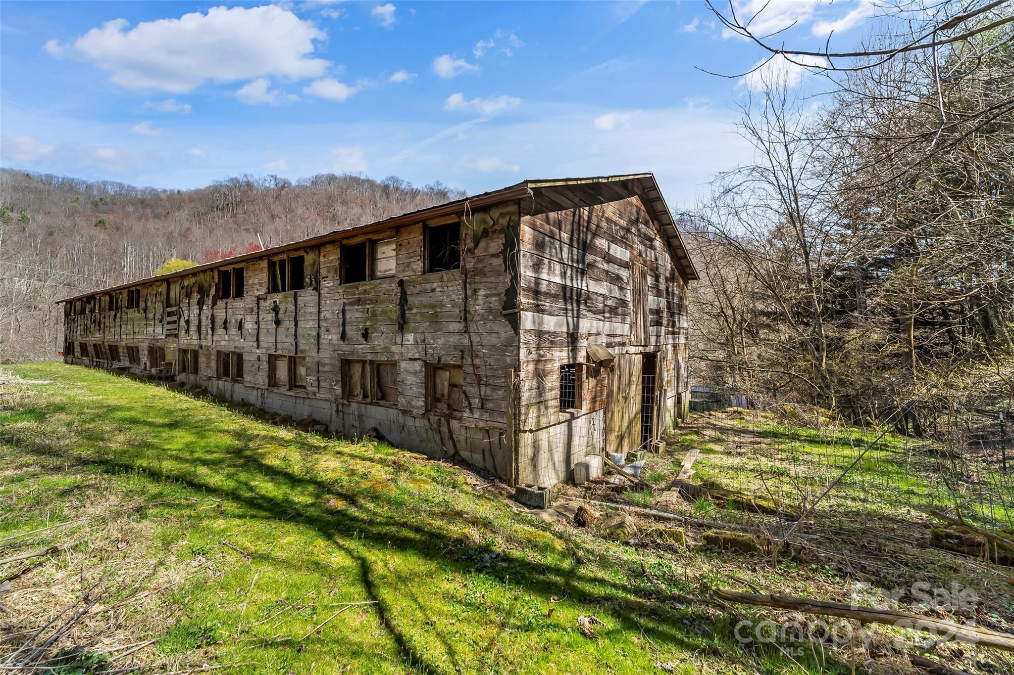 830 Fred Holcombe Road Mars Hill, NC 28754 - Photo 3 of 40 Gallery Image 3
