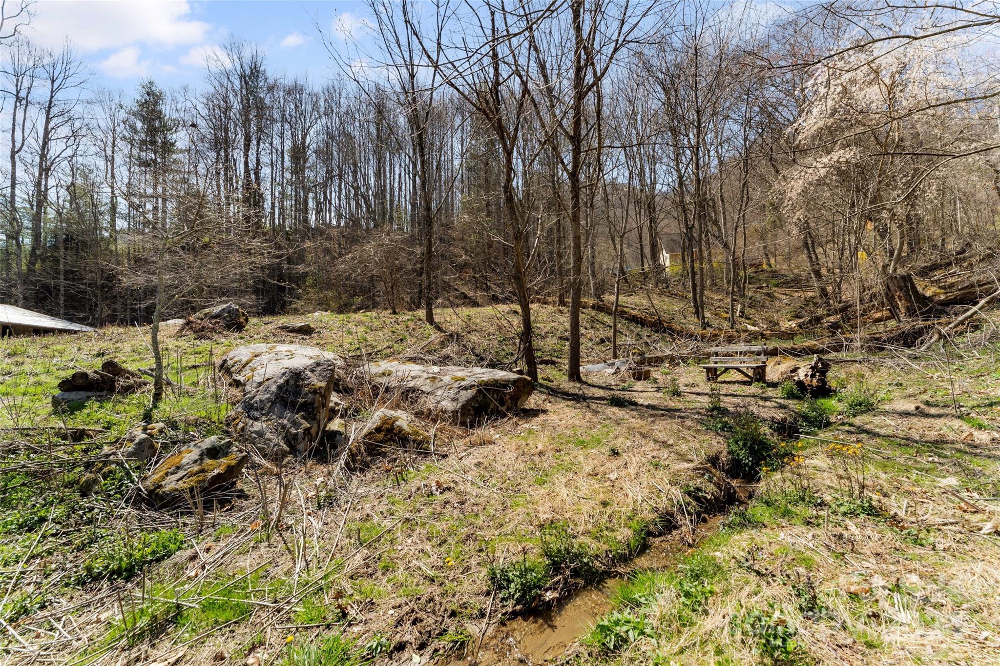 830 Fred Holcombe Road Mars Hill, NC 28754 - Photo 4 of 40 Gallery Image 4