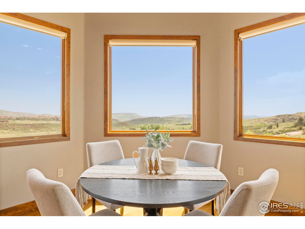 183 Red Bear Road Laporte, CO 80535 - Photo 7 of 32 a view of a dining room with furniture window and outside view