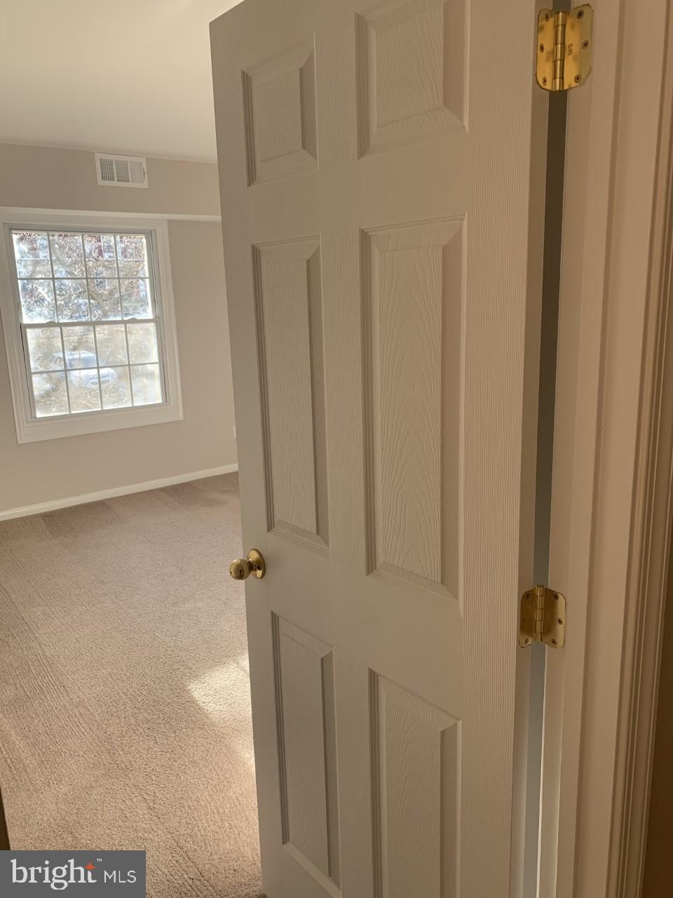 8110 Colony Point Road, Unit 218 Springfield, VA 22152 - Photo 22 of 40 6-Panel Doors