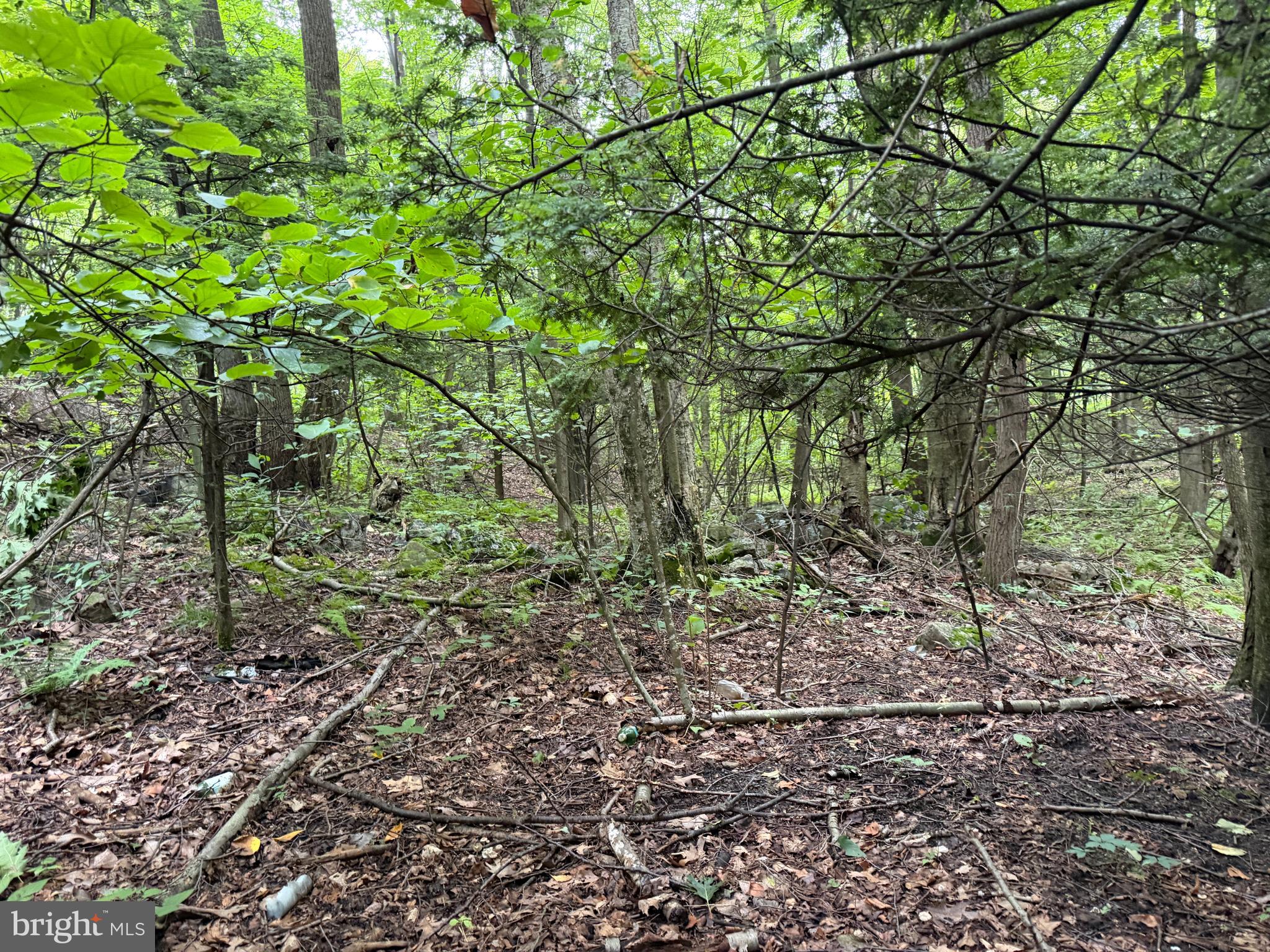 Three Laurel Mountain Road Three Springs, PA 17264 - Photo 24 of 74 Gallery Image 24