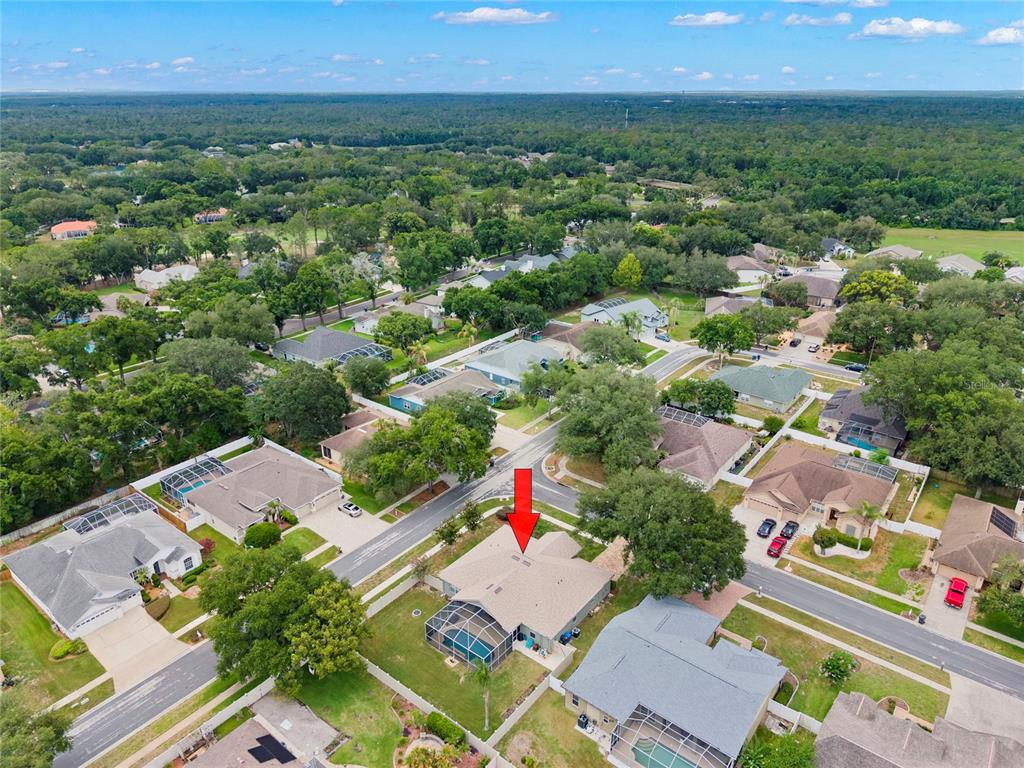 4038 Lithia Ridge Boulevard Valrico, FL 33596 - Photo 37 of 47