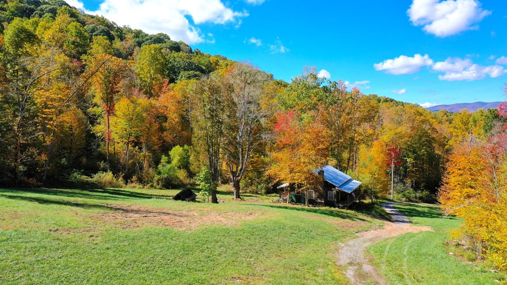 575 Vestal Cochran Road Topton, NC 28781 - Photo 4 of 53