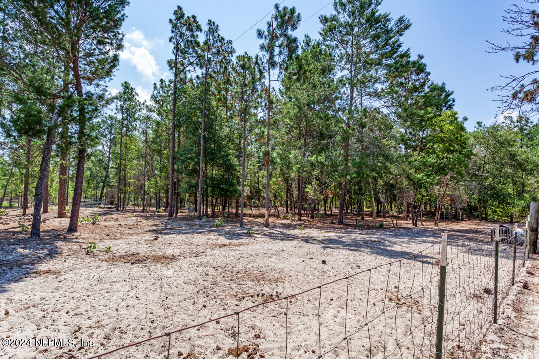 134 Forest Hills Road Melrose, FL 32666 - Photo 33 of 37 33
