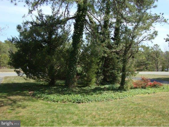 8 A Cranberry Road Manahawkin, NJ 08050 - Photo 17 of 21 Gallery Image 17