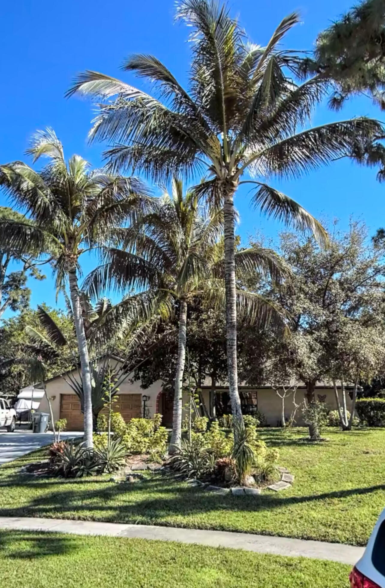 4262 Mediterranean Road Lake Worth, FL 33461 - Photo 1 of 23 IMG_7017