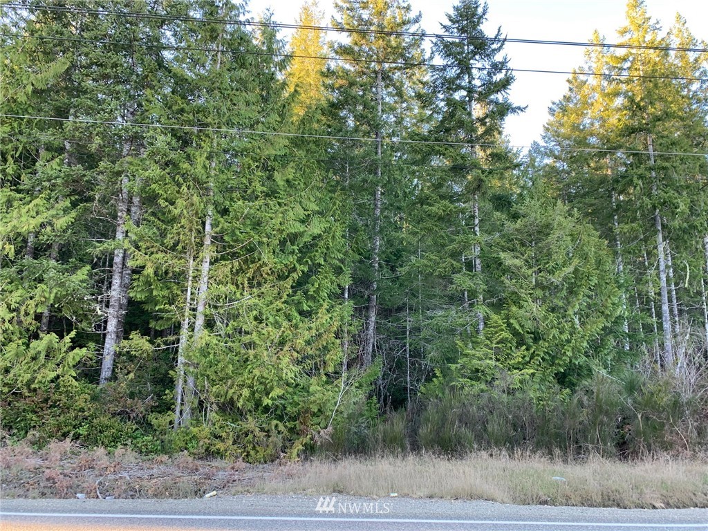 -tr2 East Mason Lake Road Grapeview, WA 98546 - Photo 2 of 10 Gallery Image 2