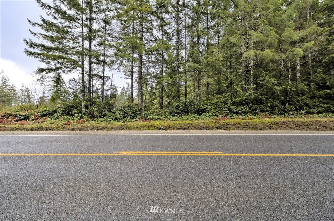 -tr2 East Mason Lake Road Grapeview, WA 98546 - Photo 3 of 10 Gallery Image 3