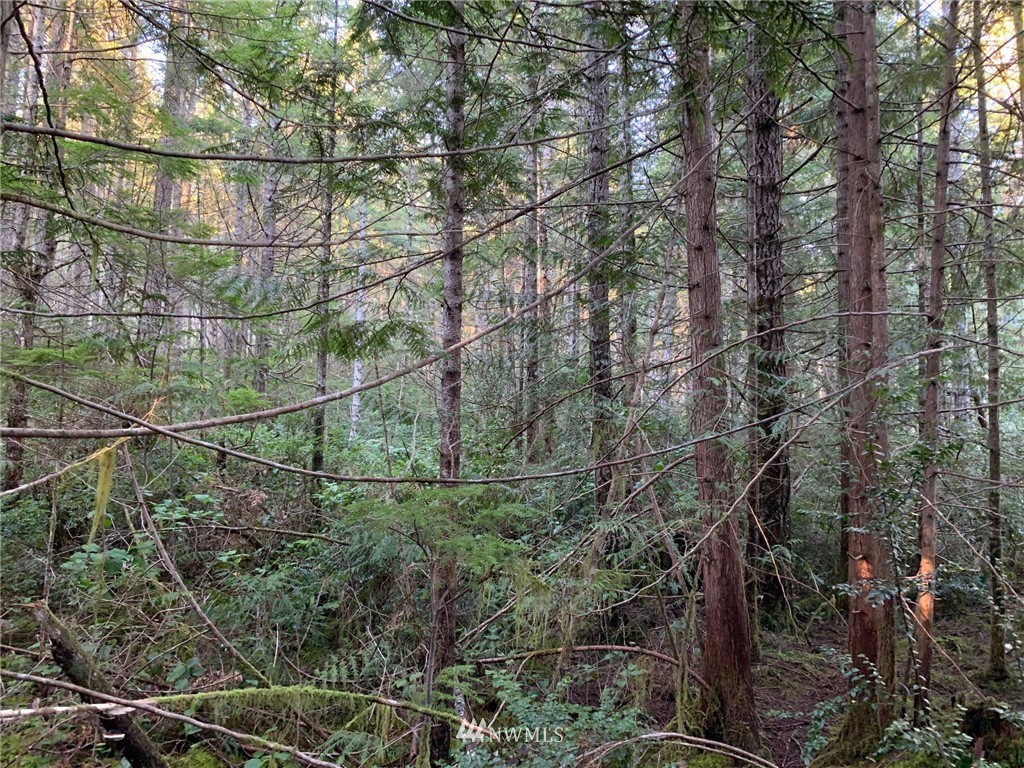 -tr2 East Mason Lake Road Grapeview, WA 98546 - Photo 4 of 10 Gallery Image 4