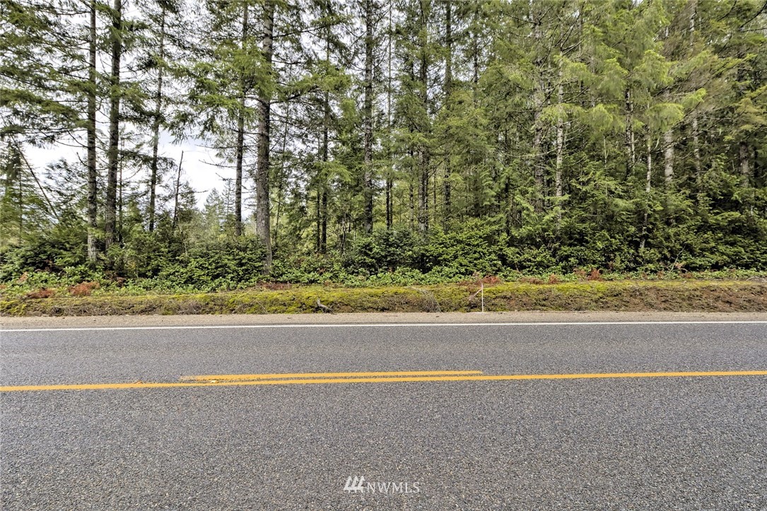 -tr2 East Mason Lake Road Grapeview, WA 98546 - Photo 6 of 10 Gallery Image 6