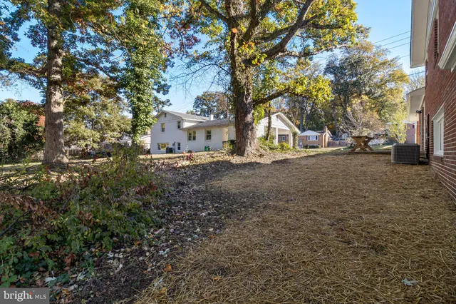 a view of a yard with a tree