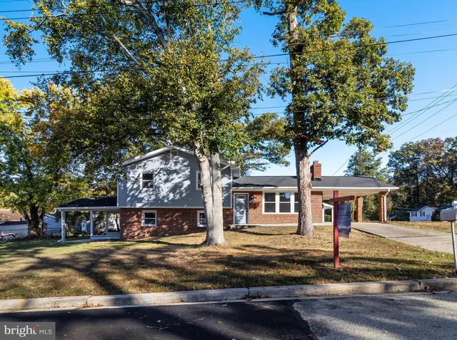 a view of a big yard with large tree