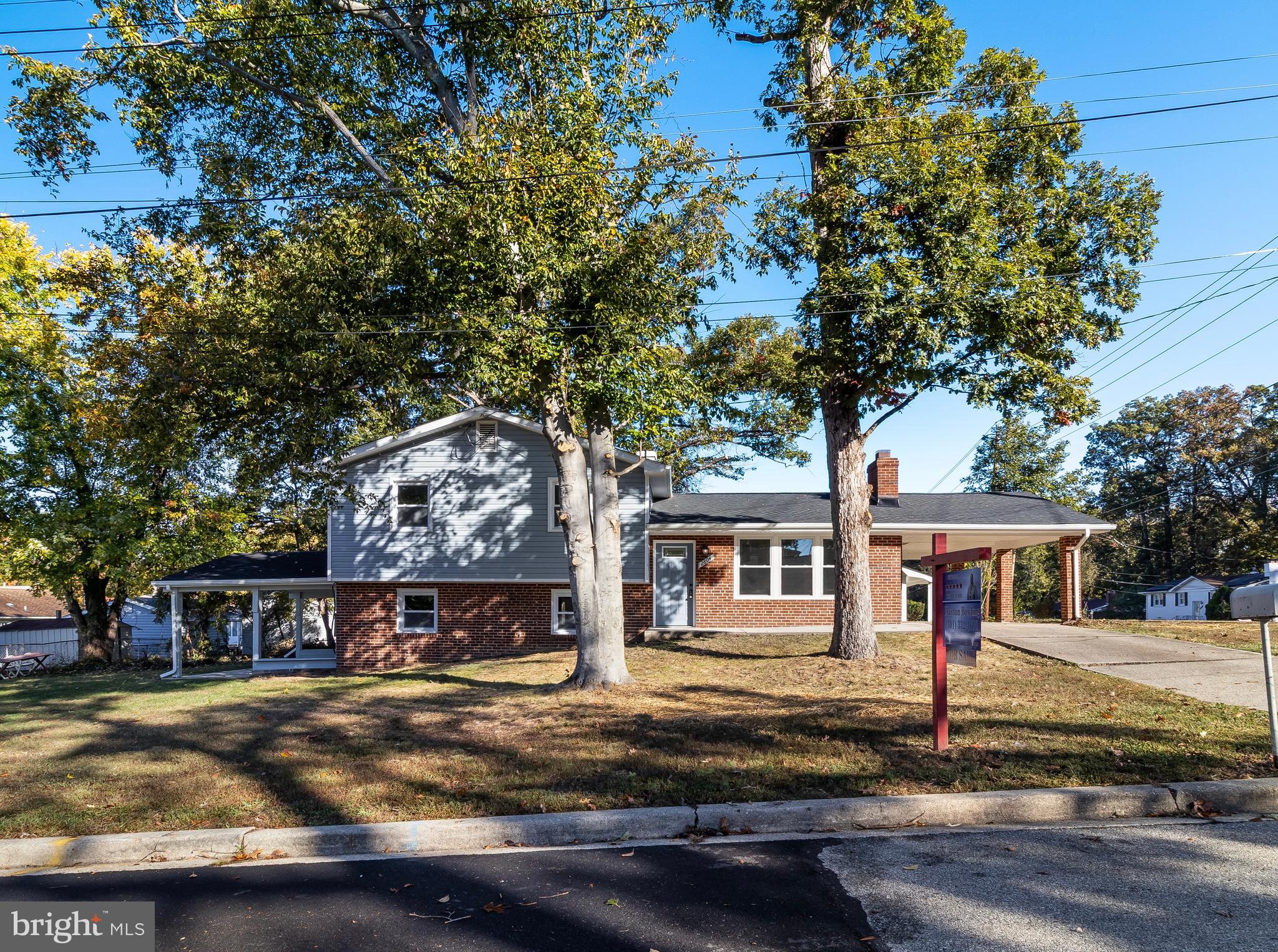 2804 Testway Avenue Fort Washington, MD 20744 - Photo 7 of 36 a view of a big yard with large tree