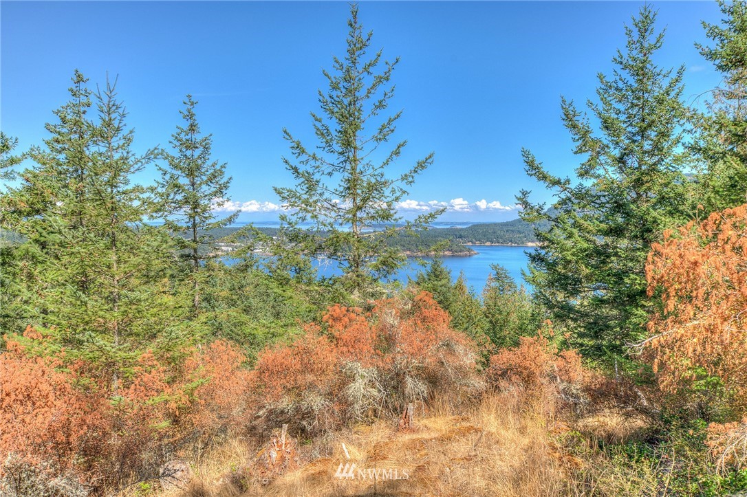 6 Village View Road Orcas Island, WA 98245 - Photo 2 of 10 Gallery Image 2